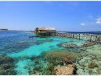 togean_20180602_104314.jpg
