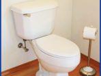 toilet-gambar-22.jpg