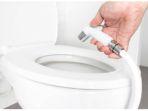 Mantan Pramugari Beberkan Rahasia Tetap Higienis saat Gunakan Toilet Pesawat, Jangan Sentuh Kloset
