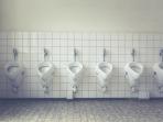 toilet_20160823_195425.jpg