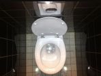 toilet_20170807_133925.jpg