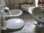 toilet_20180325_115509.jpg