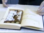 tokek-yang-diselundupkan-dalam-buku_20170511_133128.jpg