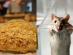 toko-roti-dan-tikus_20180203_170416.jpg