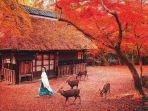 tokyo-jepang-1.jpg