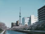 tokyo-skytree-tower-imghs.jpg