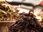 trantula_20170726_113149.jpg
