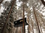 treehotel_20170721_180759.jpg