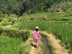 trekking-di-leuwi-hejo.jpg