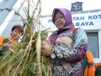 tri-rismaharini_20161110_111339.jpg