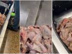 tsa-temukan-daging-mentah-di-korsel-bagasi.jpg