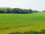 tsou-ma-lai-leisure-farm_20171006_160543.jpg