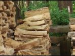 tumpukan-kayu_20170507_202826.jpg