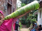 turutu-terompet-tradisional-dari-janur.jpg