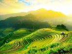ubud_20170118_151122.jpg