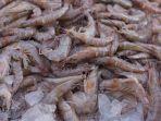 udang-mentah.jpg