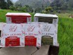 Tingkatkan Ekonomi Masyarakat Pedesaan, UI Kembangkan Teh dan Kopi Kesehatan Tanpa Kafein