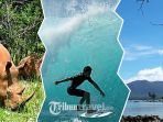 ujung-kulon_20170226_095350.jpg