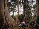 Umbul Leses, Objek Wisata di Boyolali yang Terkenal Akan Legenda Pengantin yang Berubah Jadi Pohon