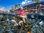umbul-ponggok_20170514_213328.jpg