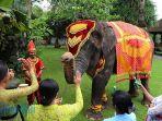 upacara-tumpek-kandang-di-bali-zoo.jpg