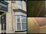 vale-guest-house-tripadvisor_20180926_104443.jpg