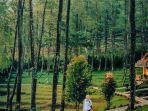 vanaprastha-gedong-songo-park.jpg