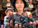 4 Hal Penting yang Perlu Kamu Perhatikan Sebelum Berangkat Liburan ke Vietnam
