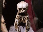 viktor-wynd-museum-of-curiosities_20180523_124041.jpg
