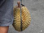 viral-kondektur-bus-pingsan-setelah-ada-penumpang-yang-bawa-durian-masuk.jpg