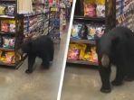 viral-video-beruang-jalan-jalan-di-lorong-supermarket-di-los-angeles-as.jpg