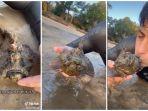 viral-video-pria-pegang-ikan-paling-beracun-di-dunia-sabtu-2372022.jpg