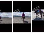 viral-video-wisatawan-rekam-penunggang-kuda-di-gunung-bromo.jpg