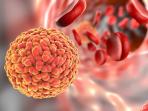 virus-zika_20160830_183218.jpg