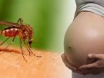 virus-zika_20160903_174955.jpg