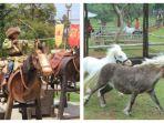 wahana-berkuda-di-the-ranch-cisarua.jpg