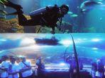 wahana-menarik-di-seaworld-ancol.jpg