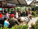 wahana-pony-ride-di-branchsto-bsd.jpg