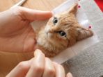 wakuneco_20181008_135525.jpg