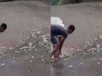 warga-mengumpulkan-ikan-yang-naik-ke-daratan.jpg