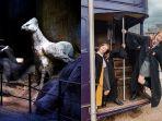 warner-bros-studio-tour-london.jpg