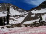 watermelon-snow_20160828_195005.jpg