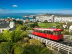 wellington_20170301_225924.jpg