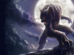 werewolf_20161213_154110.jpg