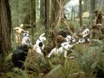 whippendell-wood_20180316_180014.jpg