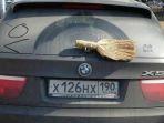 wiper-belakang-mobil.jpg
