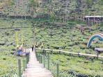 wisata-agro-rengganis-di-kebun-teh-gunung-gambir.jpg