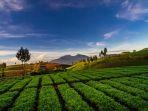 wisata-alam-brakseng-di-kota-batu.jpg