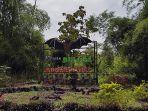 wisata-bulaga.jpg