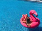 wisata-floatis-flamingo-di-flamingo-beach-club-bali.jpg